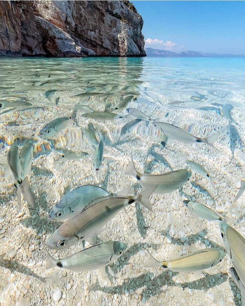 B62C7006 CC69 4C7C AEC5 684D73ED0426